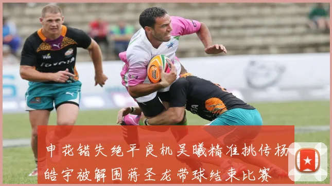 申花错失绝平良机吴曦精准挑传杨皓宇被解围蒋圣龙带球结束比赛