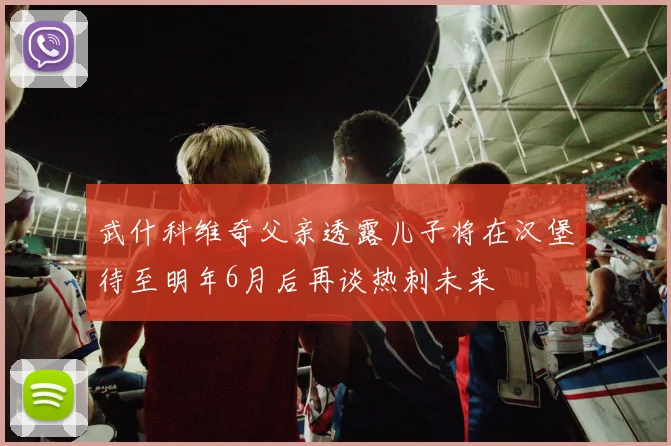 武什科维奇父亲透露儿子将在汉堡待至明年6月后再谈热刺未来